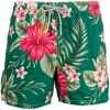 MC2 Saint Barth DECADENT IBISCUS 51 Badeshorts Mit Hibiskus-Print Herren 1 MC2 Saint Barth DECADENT IBISCUS 51 Badeshorts Mit Hibiskus-Print Herren -MC2 Saint Barth Geschäft 16226974 31348594 600