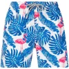 MC2 Saint Barth Badeshorts Mit Flamingo-Print Herren 2 MC2 Saint Barth Badeshorts Mit Flamingo-Print Herren -MC2 Saint Barth Geschäft 16410666 31650553 600