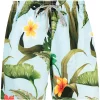 MC2 Saint Barth Banana-Leaves Badeshorts Herren
