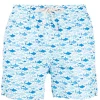 ( Positively Conscious ) MC2 Saint Barth 01 WHITE Badeshorts Mit Hai-Print Herren -MC2 Saint Barth Geschäft 16757005 33398895 600