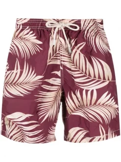 ( Positively Conscious ) MC2 Saint Barth Badeshorts Mit Palmen-Print Herren