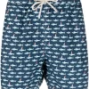 ( Neue Saison ) MC2 Saint Barth Badeshorts Mit Grafischem Print Herren -MC2 Saint Barth Geschäft 18049141 38221129 600