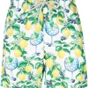( Neue Saison ) MC2 Saint Barth GIN CITRUS 01 Badeshorts Mit Zitrus-Print Herren 2 ( Neue Saison ) MC2 Saint Barth GIN CITRUS 01 Badeshorts Mit Zitrus-Print Herren -MC2 Saint Barth Geschäft 18064724 38276828 600