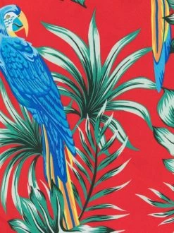 ( Neue Saison ) MC2 Saint Barth Badeshorts Mit Mojito-Print Herren -MC2 Saint Barth Geschäft 18069681 38437495 600