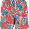 ( Neue Saison ) MC2 Saint Barth Badeshorts Mit Mojito-Print Herren -MC2 Saint Barth Geschäft 18069681 38439554 600
