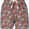 ( Neue Saison ) MC2 Saint Barth 00992B BROWN Badeshorts Mit Palmen-Print Herren 1 ( Neue Saison ) MC2 Saint Barth 00992B BROWN Badeshorts Mit Palmen-Print Herren -MC2 Saint Barth Geschäft 18106266 38414602 600