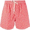 ( Neue Saison ) MC2 Saint Barth Badeshorts Mit Grafischem Print Crab - BACKGROUND41 -MC2 Saint Barth Geschäft 18235732 38868434 600