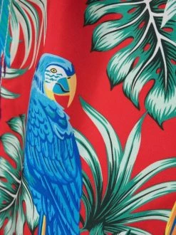 ( Neue Saison ) MC2 Saint Barth Badeshorts Mit Blattmuster Herren -MC2 Saint Barth Geschäft 18256075 38940318 600